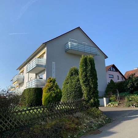 Micro-Apartment In Seenaehe Fusslaeufig Zum See:)) Ohningen Εξωτερικό φωτογραφία