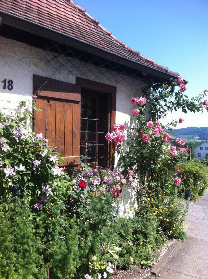 Micro-Apartment In Seenaehe Fusslaeufig Zum See:)) Ohningen Εξωτερικό φωτογραφία